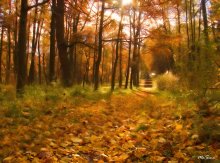 Quiet rustling leaves ... (Other options) / ***