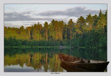 Sunset / ***