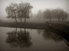 Nebel / ***