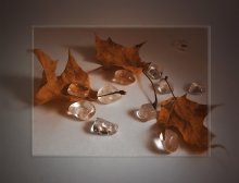 Untitled / *****