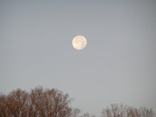 The moon at dawn / ***