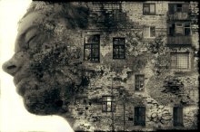 yard / ***