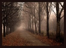 noon in December / ***