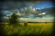 Before the storm / ***