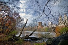 Morgen im Central Park / ***