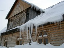 in our cozy home / ***