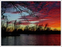 EARTH'S SURPRISE / ***