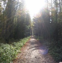 Path of the sun / ***
