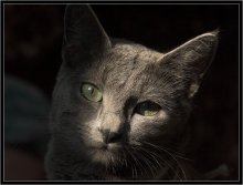 Out of the shadows / ***