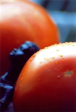 tomato Fantasy 2 / ***