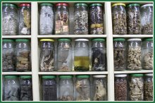 Apotheke / ***