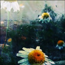 seasons / ***