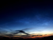 Blätter pro Tag / ***