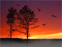 Der Tag bricht an / ***