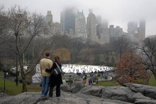 Central Park. Foggy Day / ***