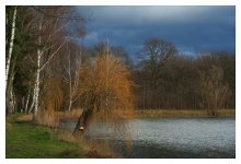 Evening Landscape / ***