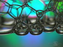 The world of bubbles / ***