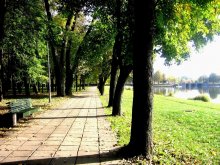 The green channel / ***