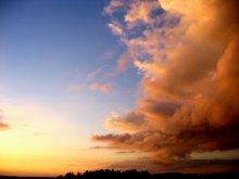 Redhead paradise / ***