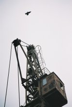 The soul of the deceased crane / ***