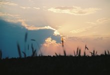 Sunset / ***