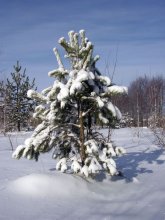 in winter coat / ***