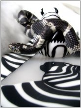 the image of a zebra as a lifestyle / ***