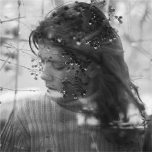 tears / ***