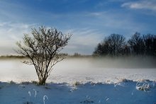 Winter picture ... / ISO 100 F22 1/80