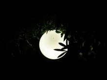 Almost Moon / ***