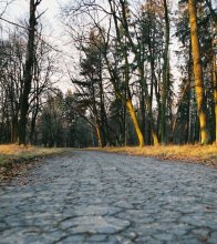 paved road / ***