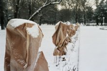 Winter Park / ***