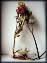 because you love me? .. / ***
