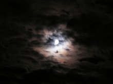 MİDNİGTH Himmel / ***