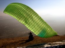 waving wing / ***