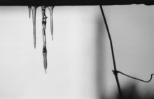 ice / ***