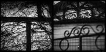 Part of a neighbor's house - h \ b / Rolleiflex 2.8F