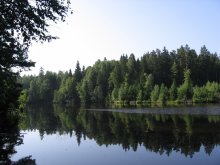 Forest Lake / ***