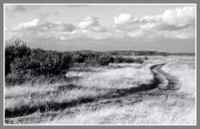 bend / ***