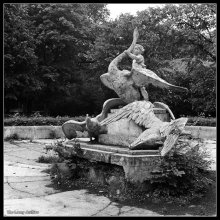 Death Stryiskyi park. / Agfa APX 400