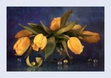 still life / ***