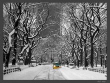 Nach dem Schneefall / ***