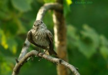 Gegenseitigkeit / ***