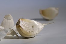 Garlic / ***