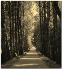 Soon autumn ... / ***