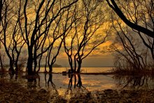... Melancholie Getue .. / .....