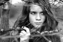 lost in the woods / ***