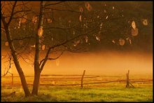 Morning / ...............