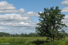 Native open spaces. / ***