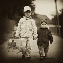 brothers / **************